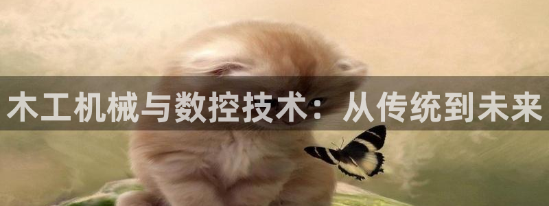 天辰娱乐 39974
