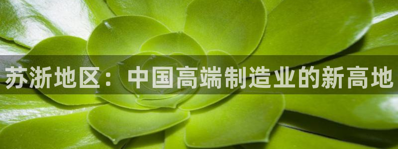 天辰娱乐下载链接