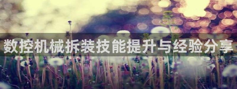 天辰说娱乐