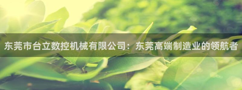 天辰宝宝娱乐