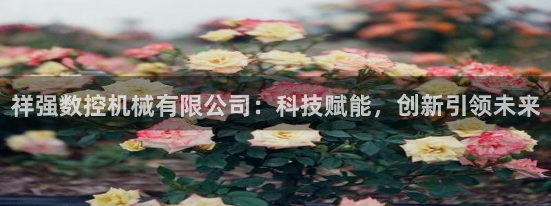 天辰娱乐 849852