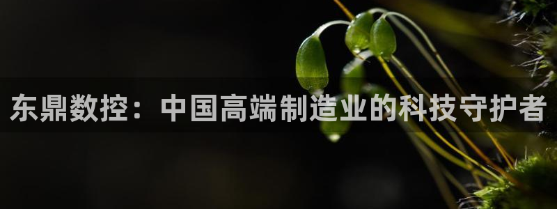 天辰登陆娱乐