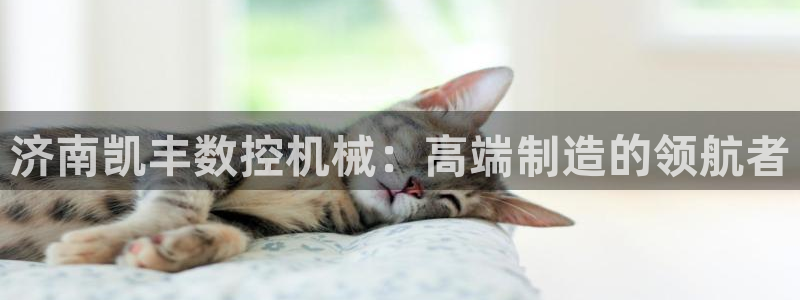 天辰娱乐官方登录下载