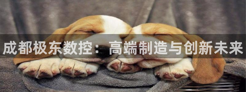 天辰娱乐总管