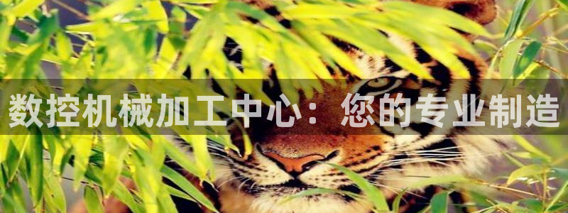 天辰娱乐股东