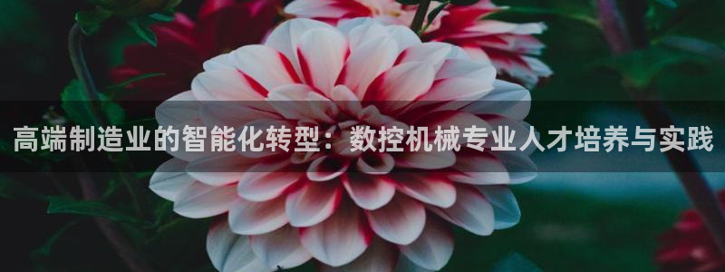 天辰娱乐分红