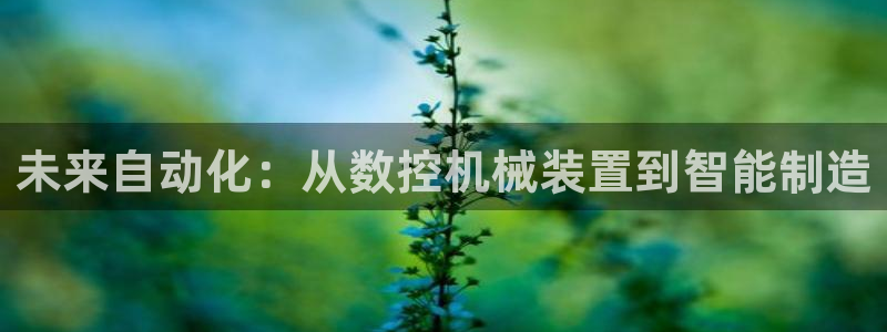 天辰娱乐客服