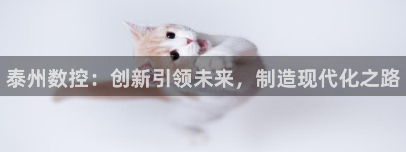 天辰娱乐鱼刺