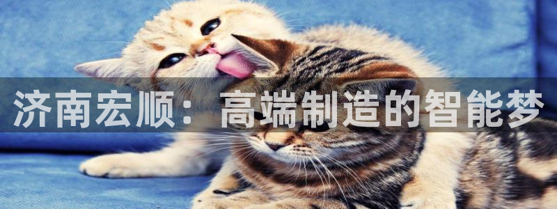 天辰娱乐 首选