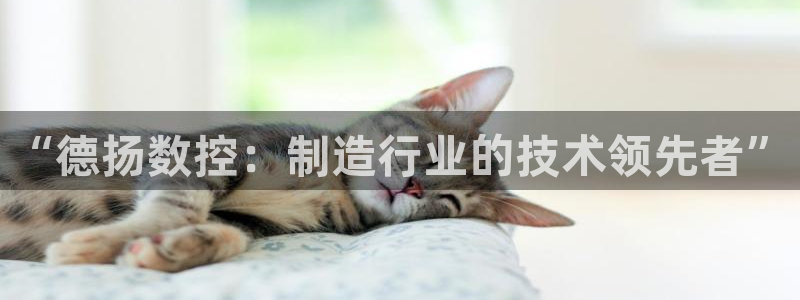 天辰娱乐小妹