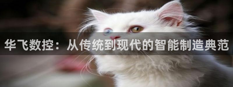 天辰娱乐75775