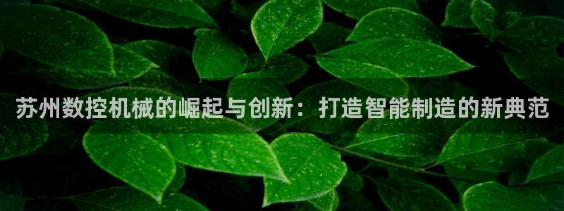 天辰2娱乐