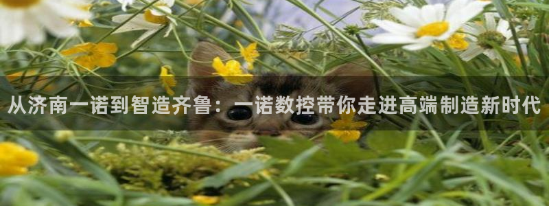 下载天辰娱乐