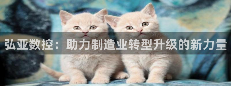 广东天辰娱乐:弘亚数控:助力制造业转型升级的新力量