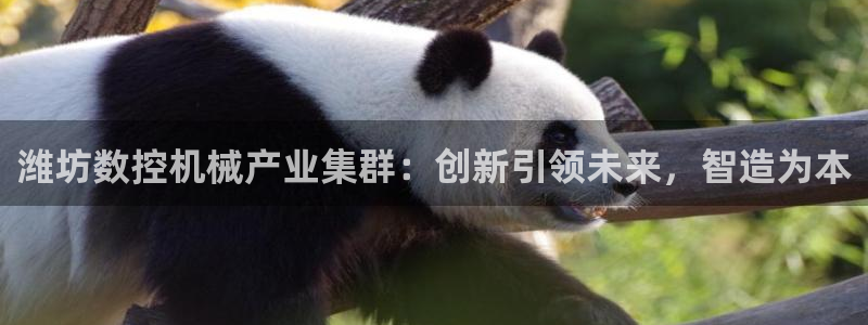 天辰娱乐平台app下载