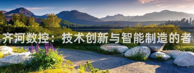 天辰娱乐老板：齐河数控：技术创新与智能制造的者