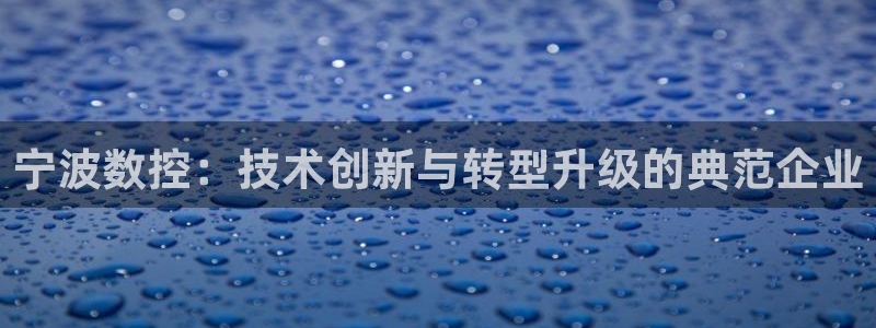 天辰娱乐客服：宁波数控：技术创新与转型升级的典范企业