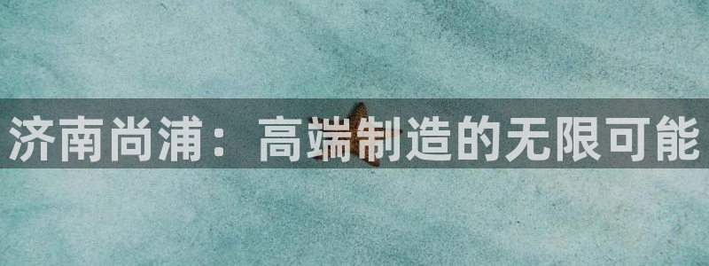 天辰娱乐股东