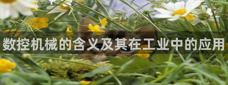 下载天辰娱乐