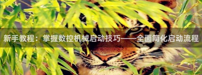 天辰娱乐下载