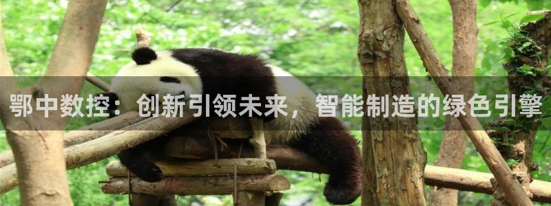 天辰娱乐咋样