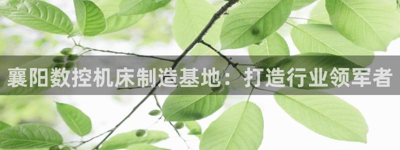 天辰娱乐棋牌