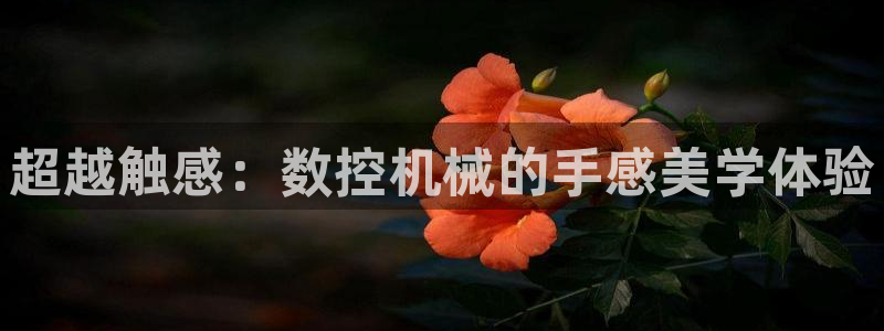 天辰娱乐ttf