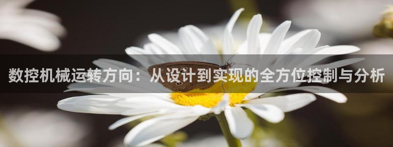 天辰娱乐平台地址在哪里