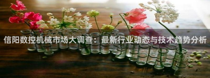 天辰娱乐入口