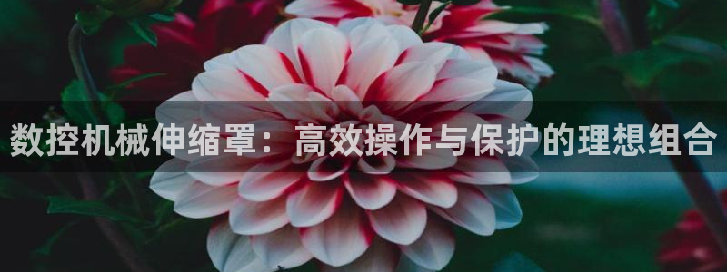 天辰娱乐登录测试