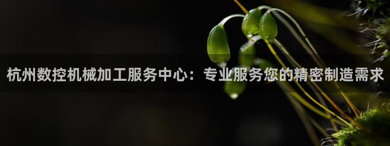 天辰娱乐下载地址:杭州数控机械加工服务中心:专业服务您的精密制造需求