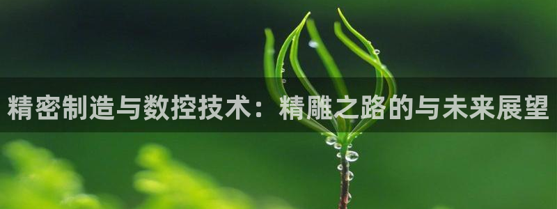 天辰娱乐平台注册