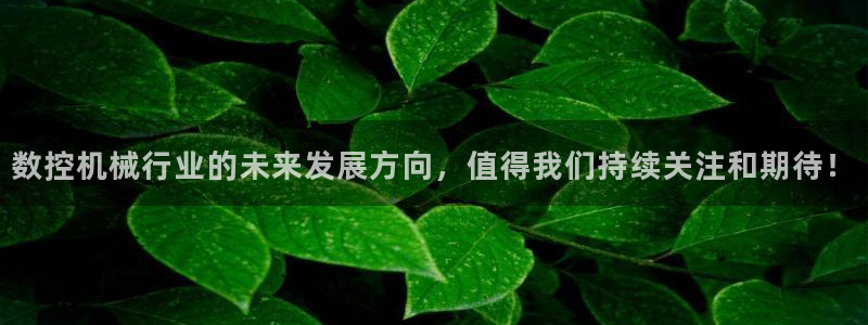 天辰娱乐官方登录入口