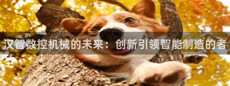 天辰娱乐论坛:汉智数控机械的未来:创新引领智能制造的者