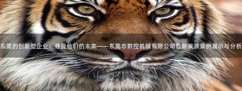天辰娱乐海洋