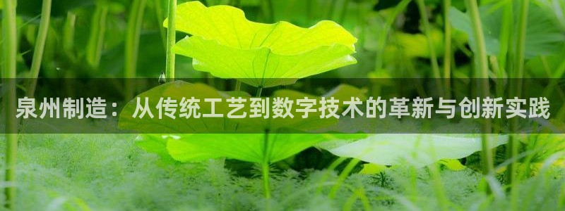天辰娱乐 主管:泉州制造:从传统工艺到数字技术的革新与创新实践