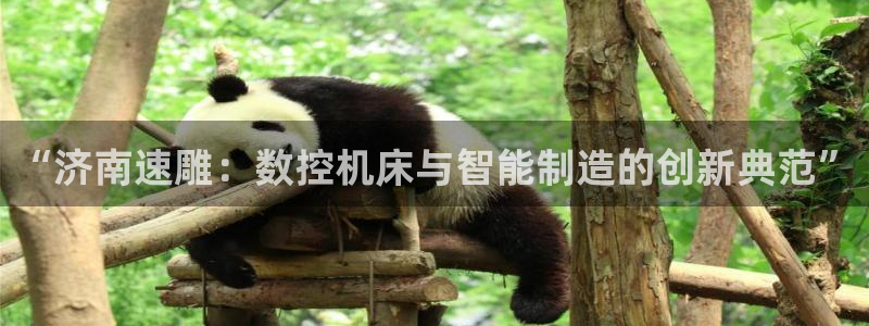天辰娱乐官方