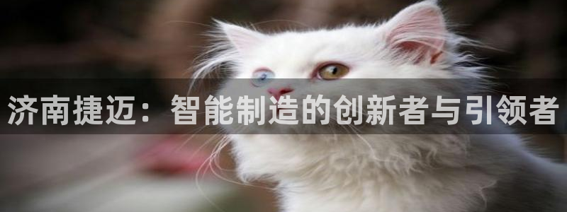天辰娱乐平台娱乐注册