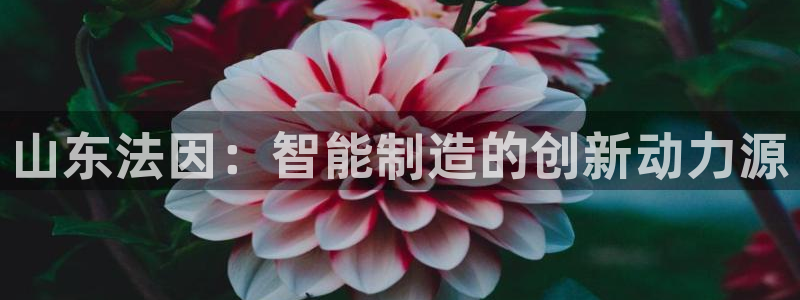 天辰线上娱乐