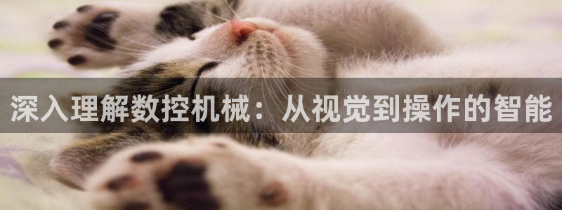 天辰娱乐注册
