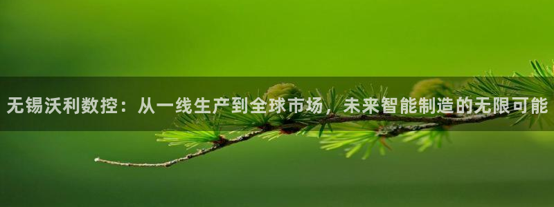 天辰娱乐 首选：无锡沃利数控：从一线生产到全球市场，未来智能制造的无限可能