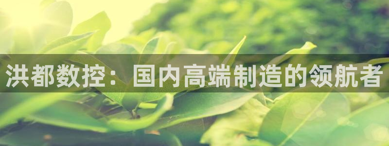 天辰娱乐台湾：洪都数控：国内高端制造的领航者