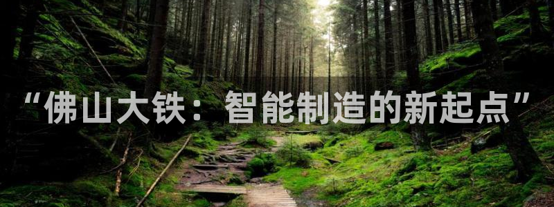 天辰娱乐论坛：“佛山大铁：智能制造的新起点”