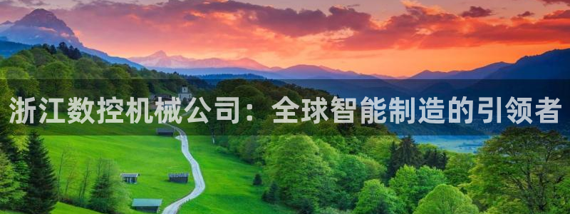 天辰娱乐总管年薪：浙江数控机械公司：全球智能制造的引领者