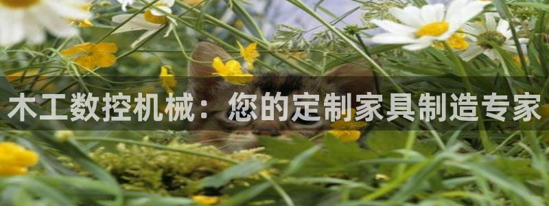 天辰娱乐白屏