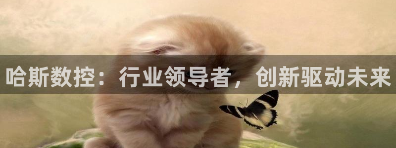 天辰娱乐开户