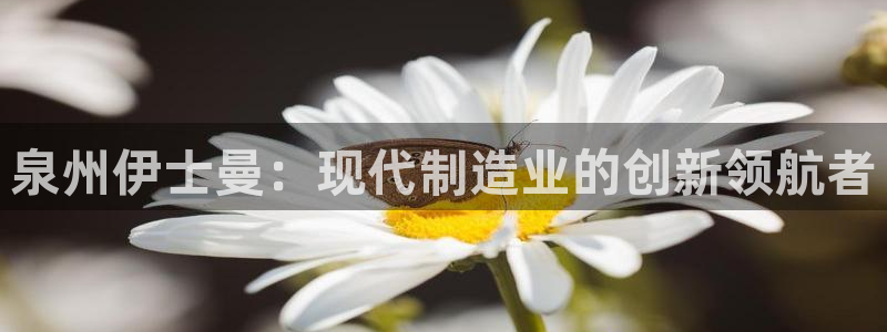 天辰娱乐股东