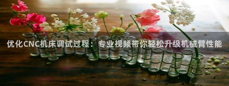 天辰娱乐 231639