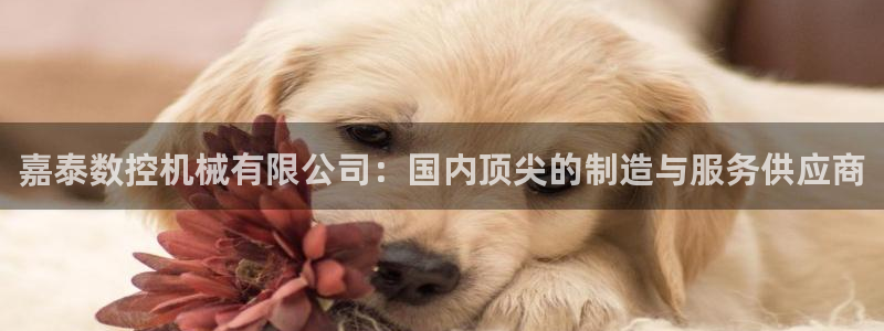 天辰娱乐信誉