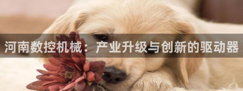天富天辰娱乐